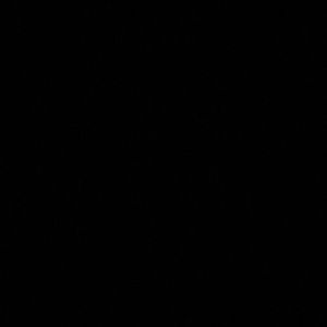 Meet your Posher, Cruise